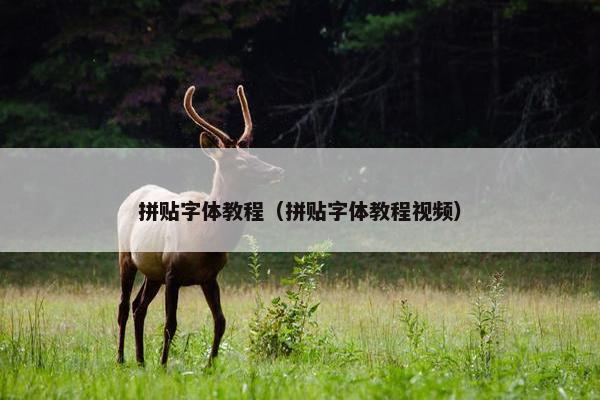 拼贴字体教程（拼贴字体教程视频）