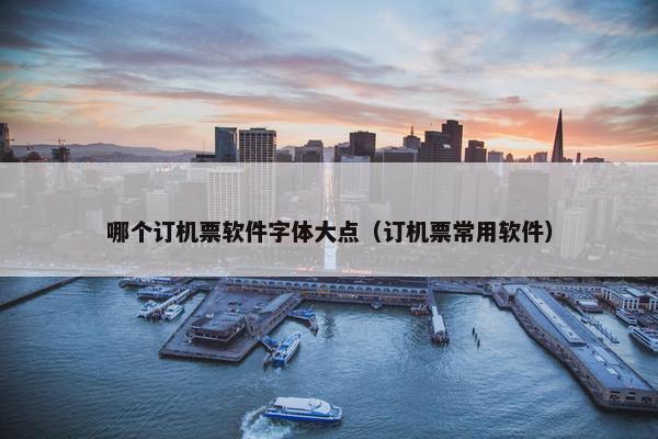 哪个订机票软件字体大点（订机票常用软件）