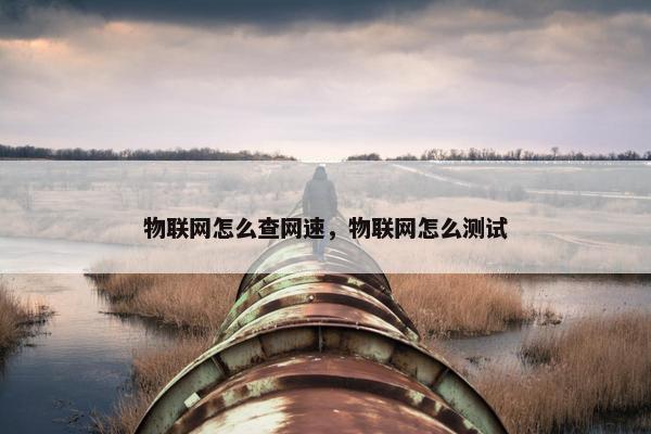 物联网怎么查网速，物联网怎么测试