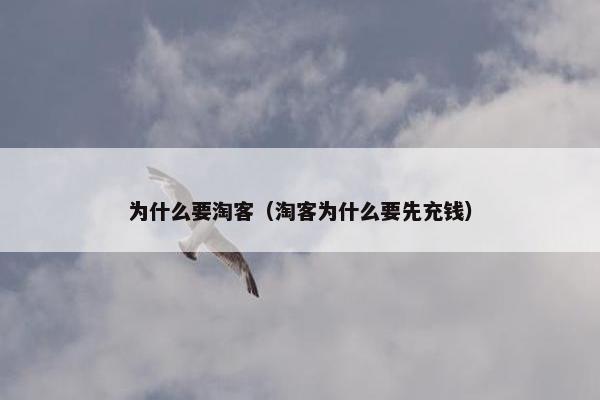 为什么要淘客（淘客为什么要先充钱）