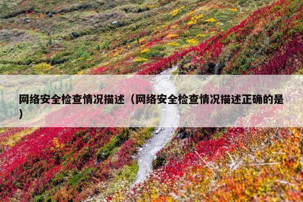网络安全检查情况描述（网络安全检查情况描述正确的是）