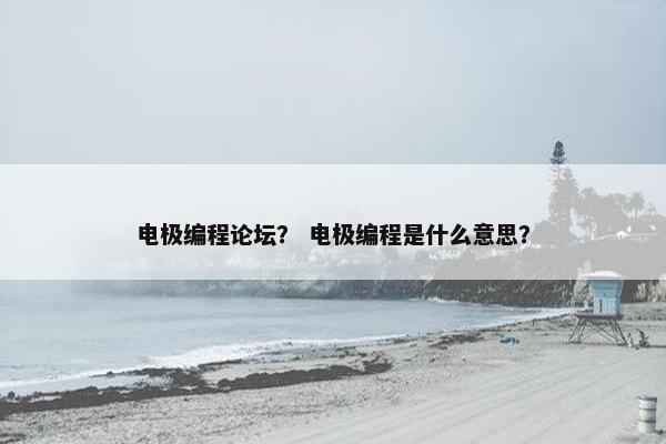 电极编程论坛？ 电极编程是什么意思？