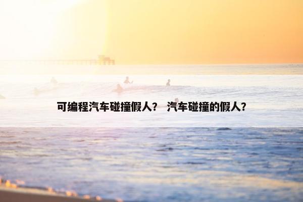 可编程汽车碰撞假人？ 汽车碰撞的假人？