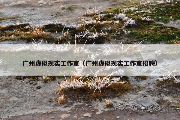 广州虚拟现实工作室（广州虚拟现实工作室招聘）