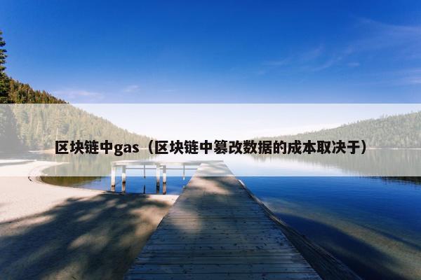 区块链中gas（区块链中篡改数据的成本取决于）