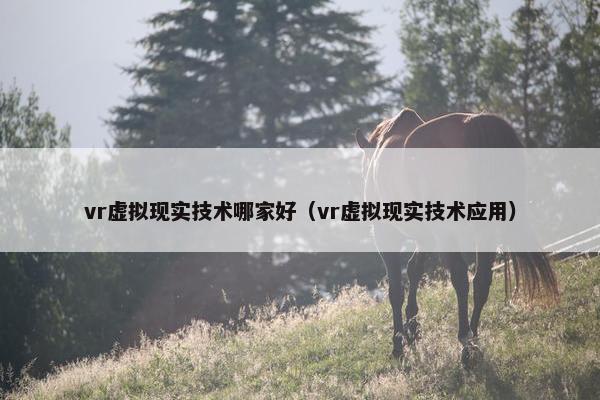 vr虚拟现实技术哪家好（vr虚拟现实技术应用）