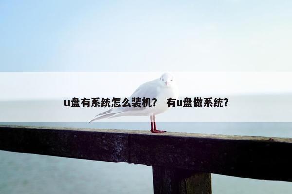 u盘有系统怎么装机? 有u盘做系统? u盘有系统怎么装机? 有u盘做系统?