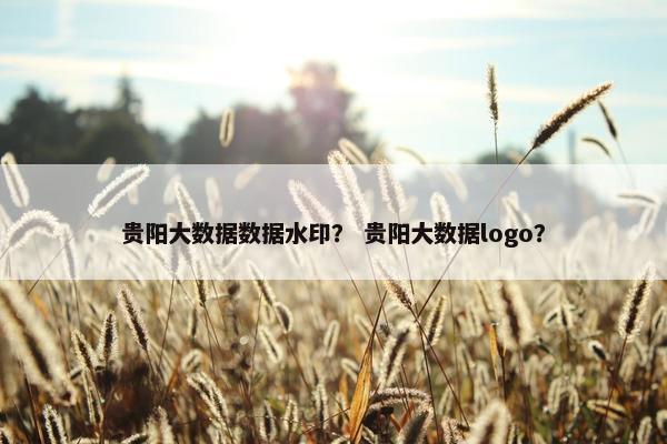 贵阳大数据数据水印？ 贵阳大数据logo？