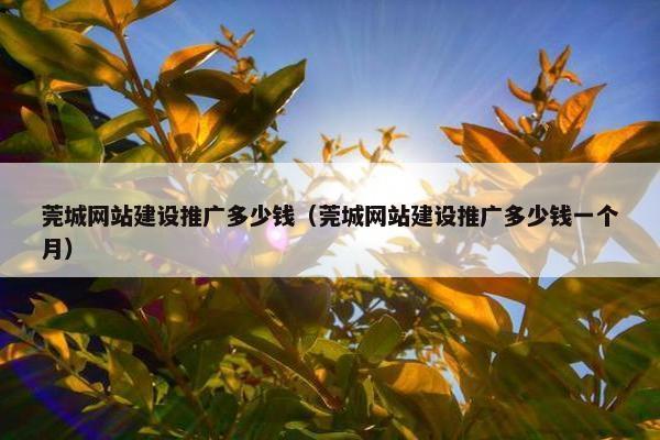 莞城网站建设推广多少钱（莞城网站建设推广多少钱一个月）