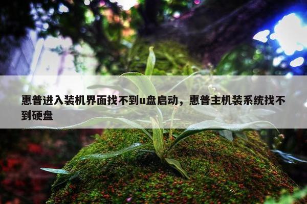 惠普进入装机界面找不到u盘启动，惠普主机装系统找不到硬盘