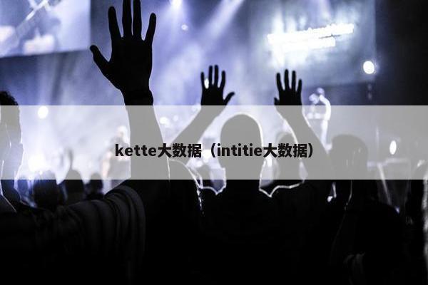 kette大数据（intitie大数据）