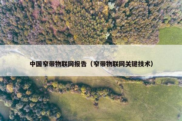 中国窄带物联网报告(窄带物联网关键技术) 中国窄带物联网报告(窄带物联网关键技术)