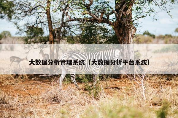 大数据分析管理系统（大数据分析平台系统）