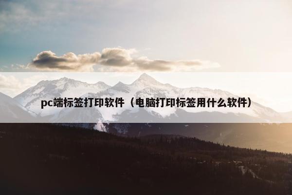 pc端标签打印软件（电脑打印标签用什么软件）