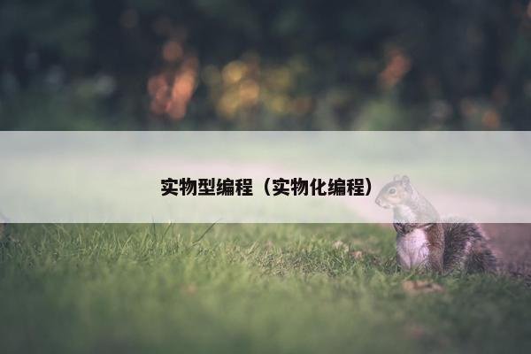 实物型编程（实物化编程）