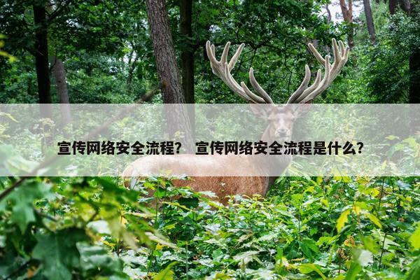 宣传网络安全流程？ 宣传网络安全流程是什么？