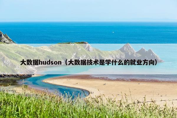 大数据hudson(大数据技术是学什么的就业方向) 大数据hudson(大数据技术是学什么的就业方向)