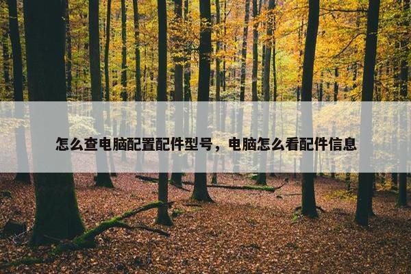 怎么查电脑配置配件型号，电脑怎么看配件信息