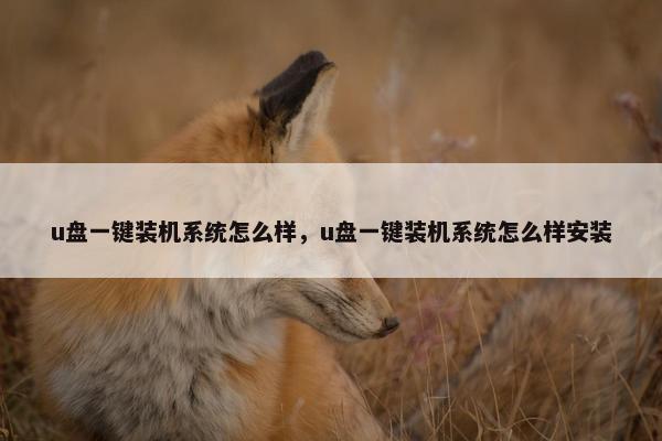 u盘一键装机系统怎么样，u盘一键装机系统怎么样安装