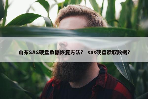 山东SAS硬盘数据恢复方法？ sas硬盘读取数据？