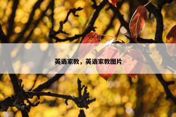 英语家教，英语家教图片