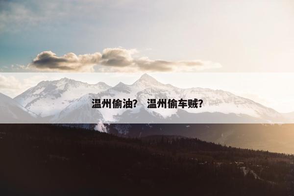 温州偷油？ 温州偷车贼？