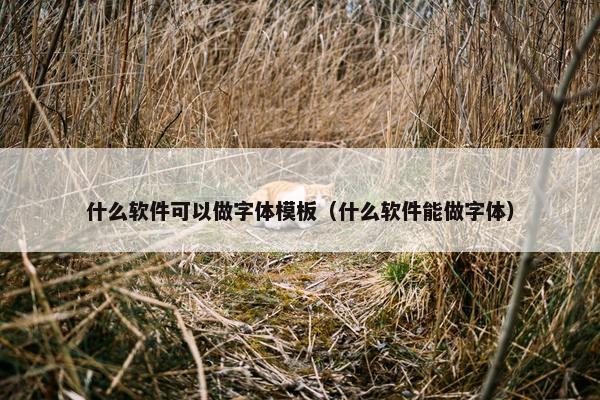 什么软件可以做字体模板（什么软件能做字体）