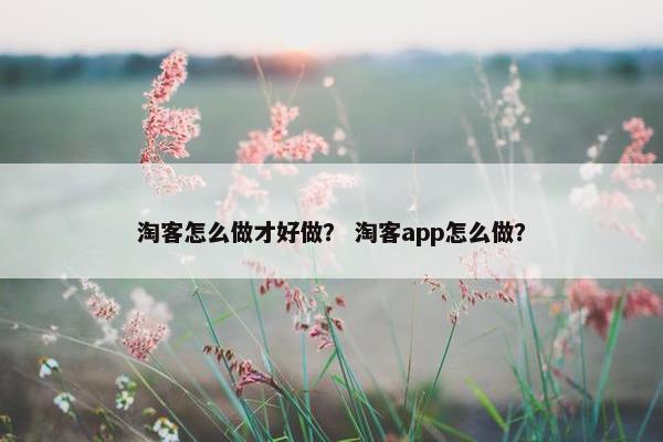 淘客怎么做才好做? 淘客app怎么做? 淘客怎么做才好做? 淘客app怎么做?