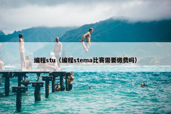 编程stu（编程stema比赛需要缴费吗）