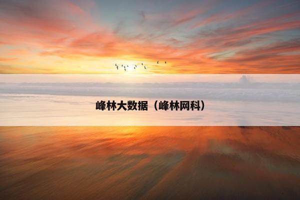 峰林大数据（峰林网科）