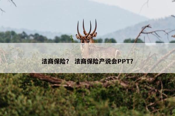 法商保险？ 法商保险产说会PPT？