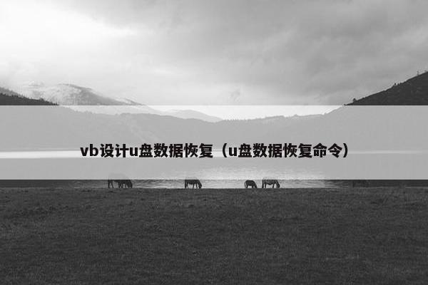 vb设计u盘数据恢复(u盘数据恢复命令) vb设计u盘数据恢复(u盘数据恢复命令)