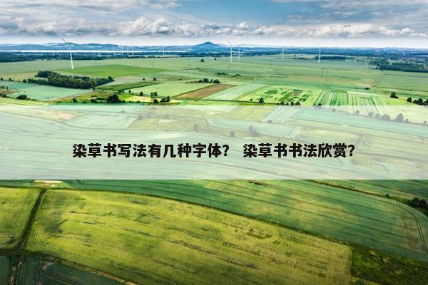 染草书写法有几种字体? 染草书书法欣赏? 染草书写法有几种字体? 染草书书法欣赏?