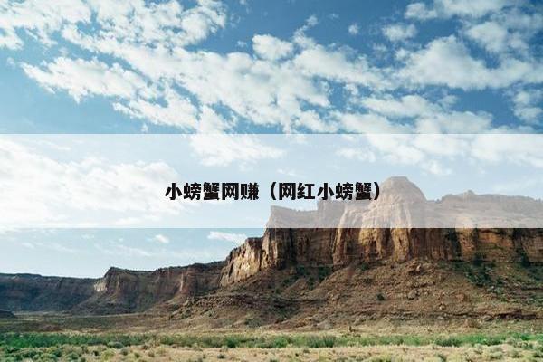 小螃蟹网赚(网红小螃蟹) 小螃蟹网赚(网红小螃蟹)