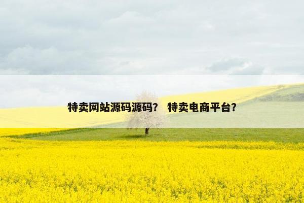 特卖网站源码源码？ 特卖电商平台？