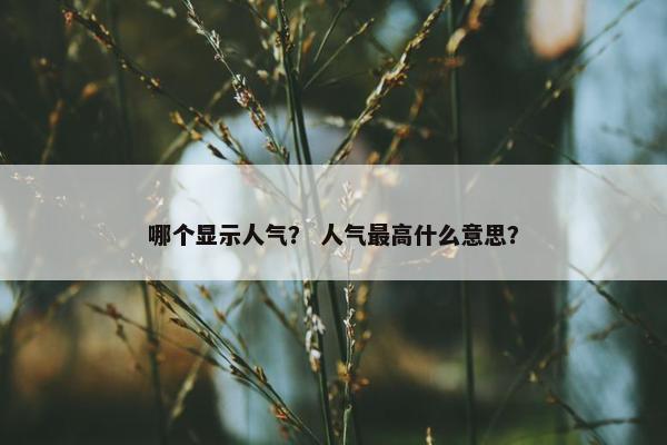 哪个显示人气？ 人气最高什么意思？