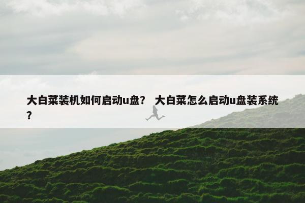 大白菜装机如何启动u盘？ 大白菜怎么启动u盘装系统？