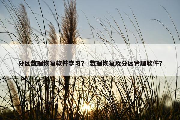 分区数据恢复软件学习？ 数据恢复及分区管理软件？