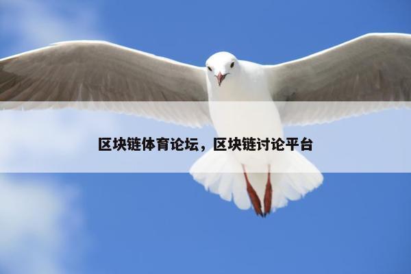 区块链体育论坛，区块链讨论平台