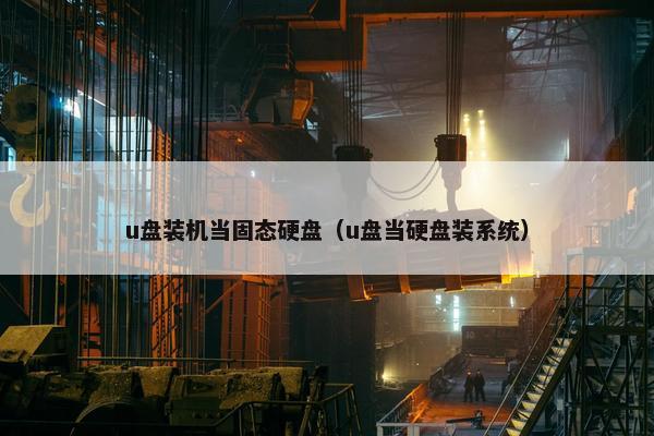 u盘装机当固态硬盘（u盘当硬盘装系统）