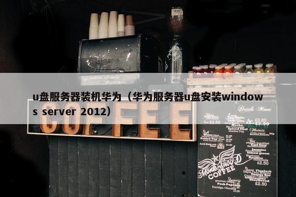 u盘服务器装机华为（华为服务器u盘安装windows server 2012）