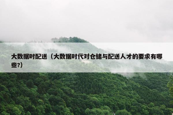 大数据时配送（大数据时代对仓储与配送人才的要求有哪些?）