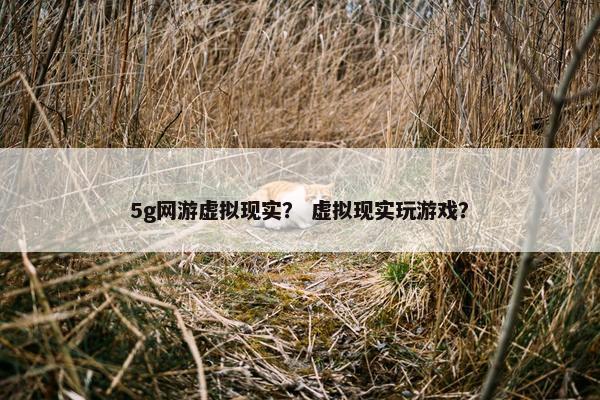 5g网游虚拟现实？ 虚拟现实玩游戏？