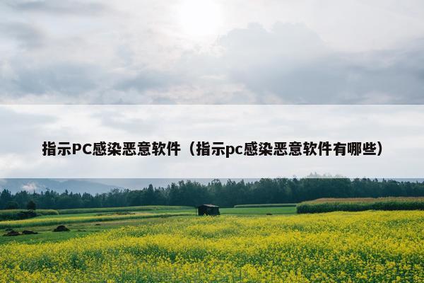 指示PC感染恶意软件（指示pc感染恶意软件有哪些）
