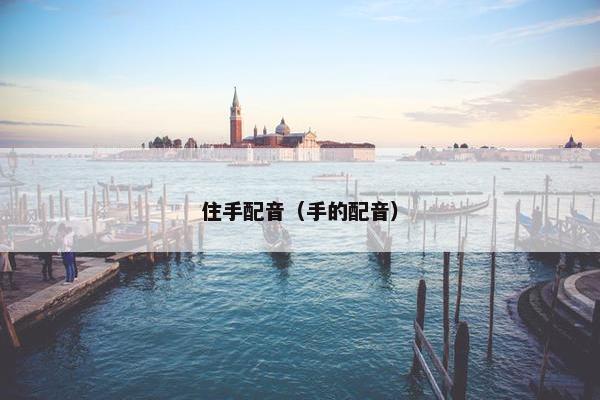 住手配音(手的配音) 住手配音(手的配音)