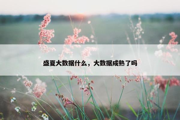 盛夏大数据什么，大数据成熟了吗