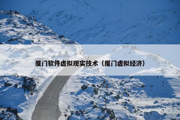 厦门软件虚拟现实技术（厦门虚拟经济）