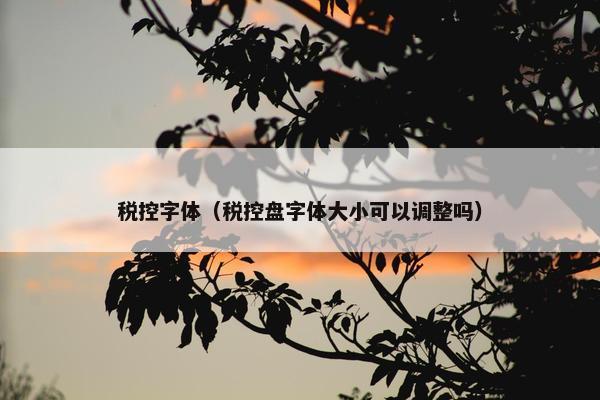 税控字体（税控盘字体大小可以调整吗）
