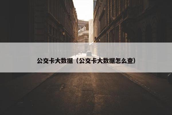 公交卡大数据（公交卡大数据怎么查）