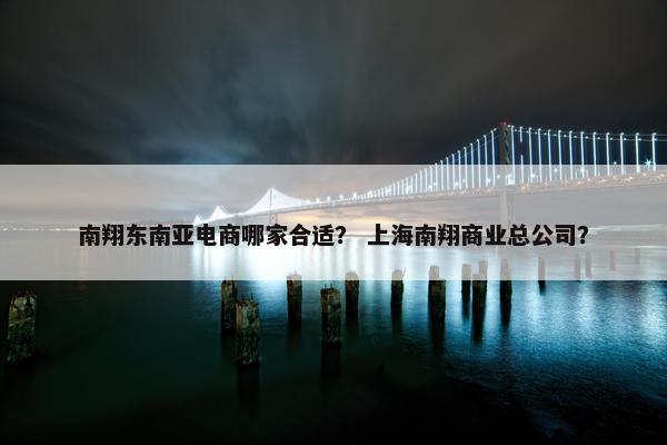 南翔东南亚电商哪家合适？ 上海南翔商业总公司？